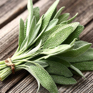 Sage 'Broadleaf' Seeds