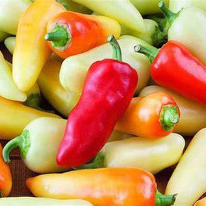 Chilli 'Santa Fe Grande' Seeds