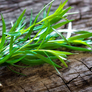 Tarragon 'Russian' Seeds