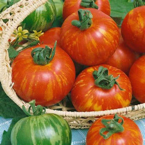 Tomato 'Tigerella' Seeds