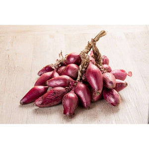 Onion 'Long Tropea Red' Seeds