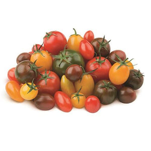 Growing tomatoes from seed is easy!
