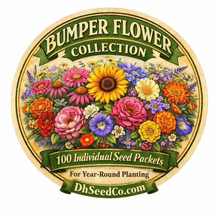 a garden from a hundred packets of seeds Bumper Flower Garden Seed Collection - 100 Individual Seed Packets