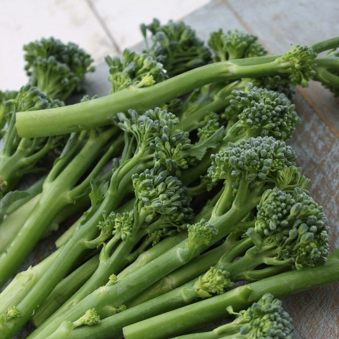 SAMPLE SIZE Broccoli 'Green Sprouting Calabrese' Seeds