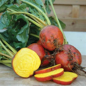 Beetroot 'Golden' Seeds