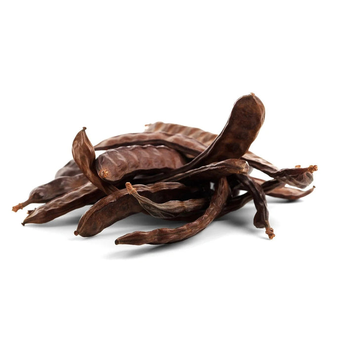 Ceratonia siliqua 'Carob Chocolate Tree' Seeds