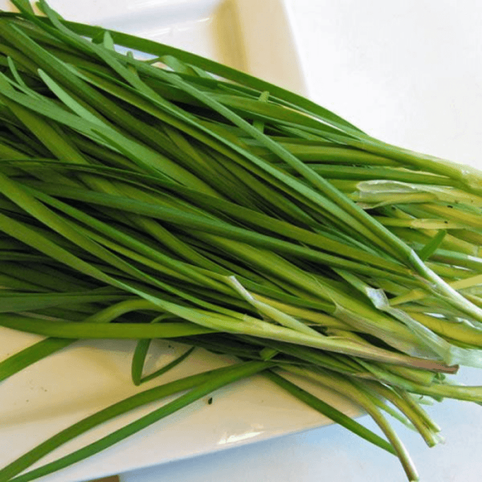 Chives 'Fuyuyo' Seeds