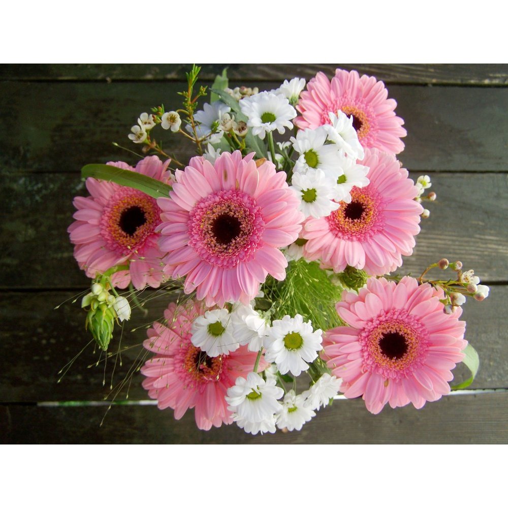flower seed of the month club The Seed Club *Cut Flower* Monthly Seed Subscription – D&H Seed Harvest Co