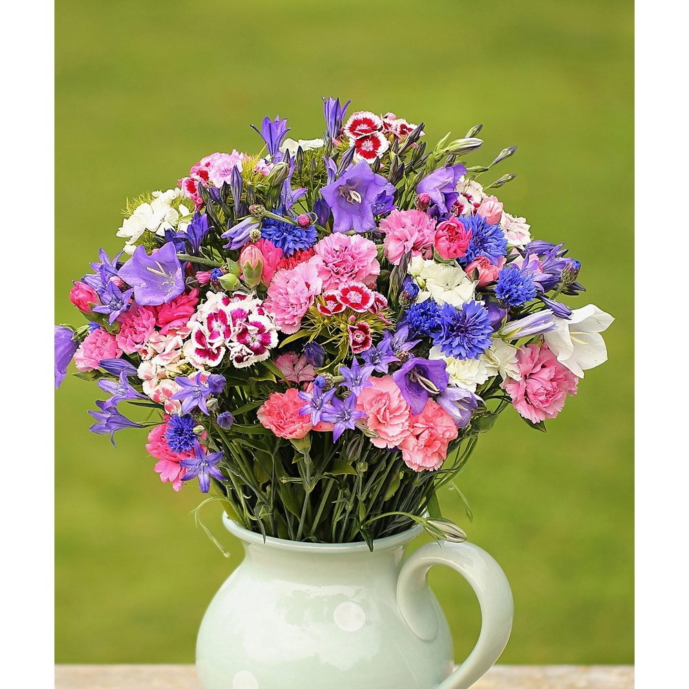 flower seed of the month club The Seed Club *Cut Flower* Monthly Seed Subscription – D&H Seed Harvest Co
