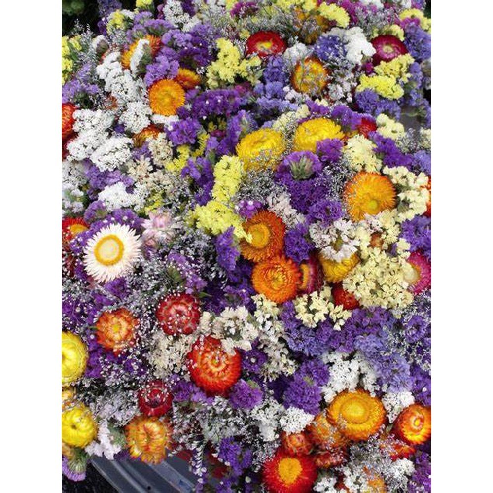 flower seed subscription The Seed Club *Cut Flower* Monthly Seed Subscription – D&H Seed Harvest Co