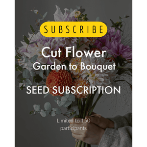 12 months PREPAID ~ The Seed Club *Cut Flower* Monthly Seed Subscription