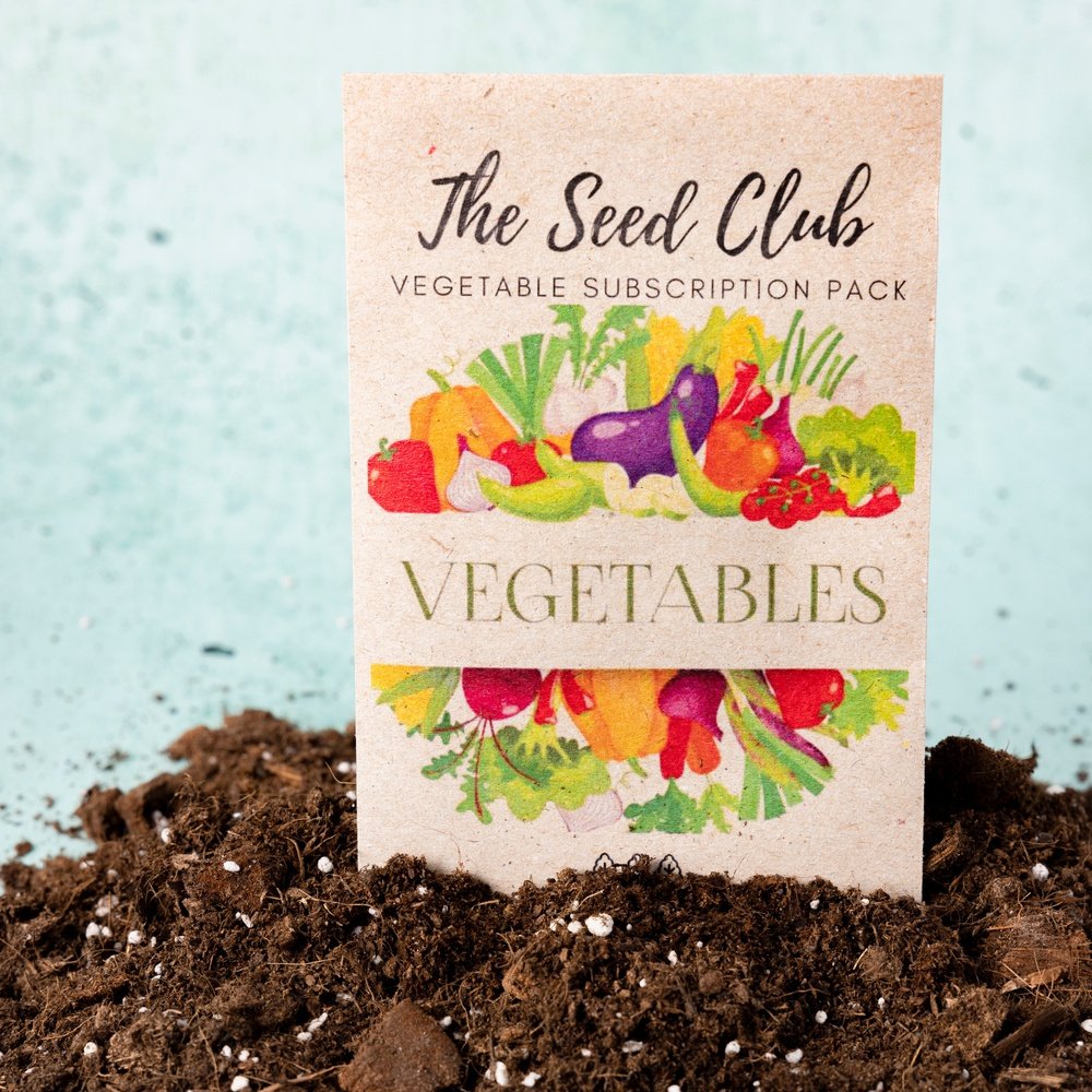 2 years PREPAID ~ The Seed Club *Vegetable* Monthly Seed Subscription ...