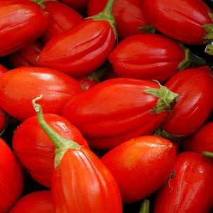 Eggplant 'Red Long' Seeds