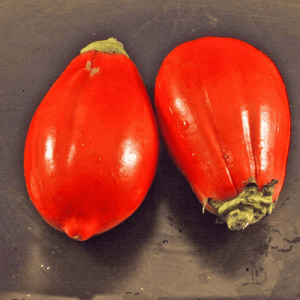 Eggplant 'Red Square' Seeds