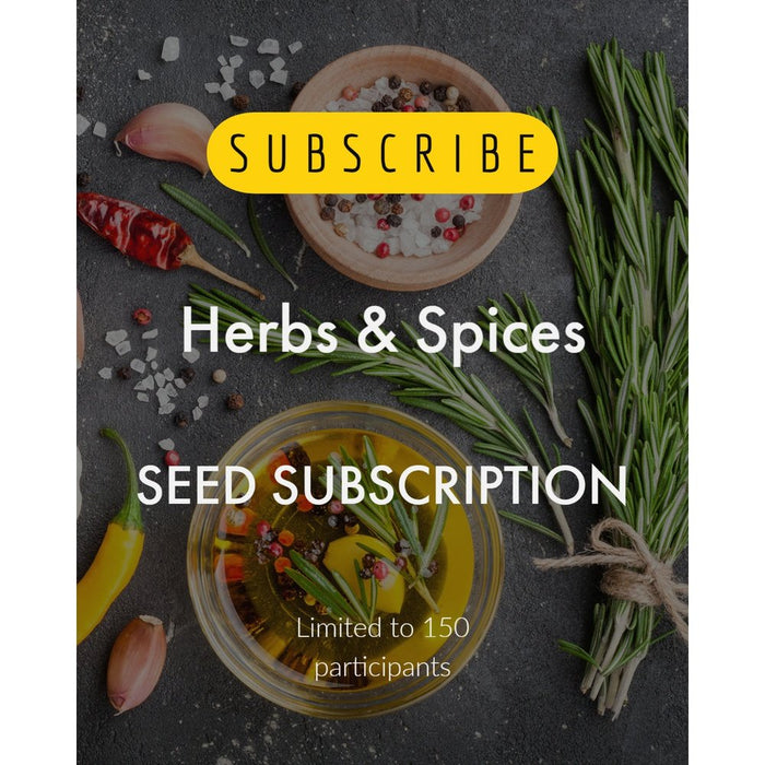 The Seed Club *Herbs & Spices* Monthly Seed Subscription