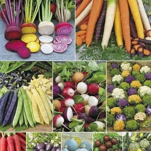 12 Months PREPAID ~ The Seed Club *Vegetable* Monthly Seed Subscription