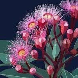 12 months PREPAID ~ The Seed Club *Australian Natives* Monthly Seed Subscription