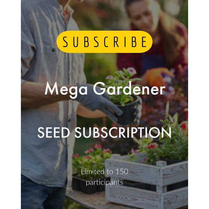 The Seed Club *MEGA Gardener* Monthly Seed Subscription - 180 packets throughout a year!