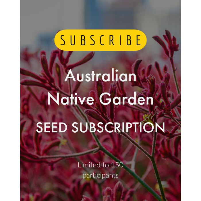 12 months PREPAID ~ The Seed Club *Australian Natives* Monthly Seed Subscription