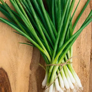 Onion ‘Evergreen Bunching Nebuka’ Seeds