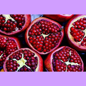 Dwarf Pomegranate