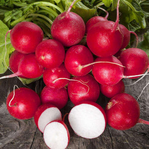 Radish 'Cherry Belle' Seeds
