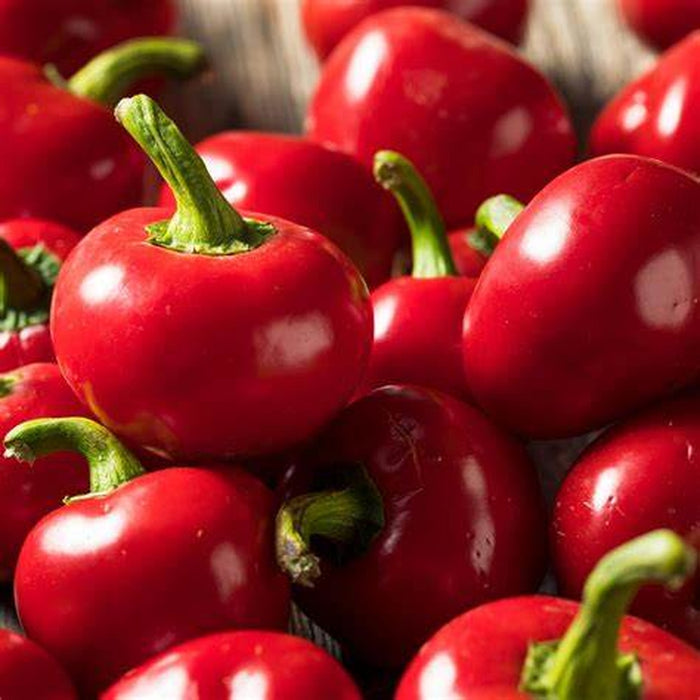 Chilli 'Red Cherry HOT' Seeds