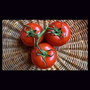 Tomato 'Red Russian' Seeds