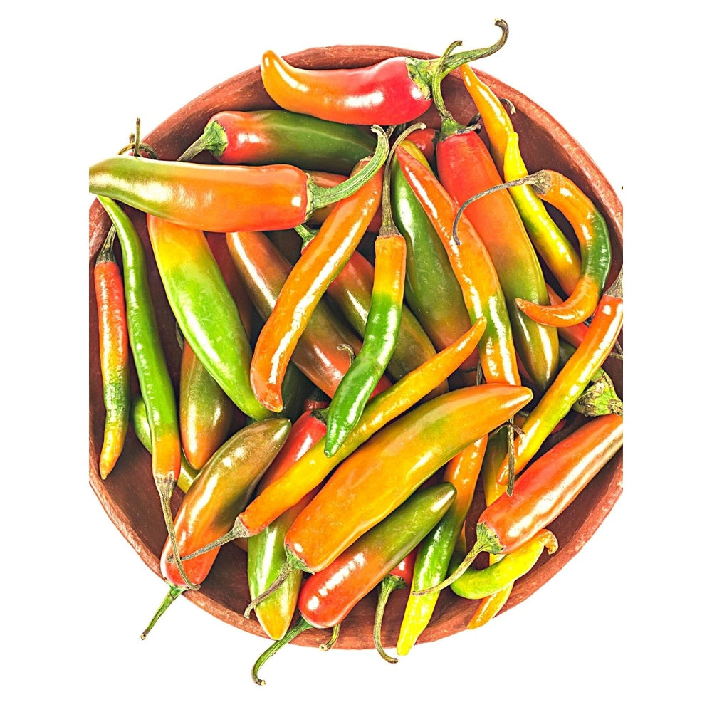 Chili 'Serrano' Seeds – D&H Seed Harvest Co