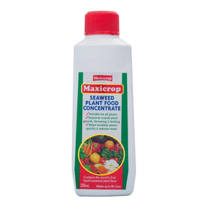 maxicrop indoor plant food Maxicrop Seaweed Plant Food Concentrate Plant
