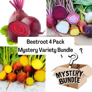 Beetroot 4 Pack Mystery Variety Bundle