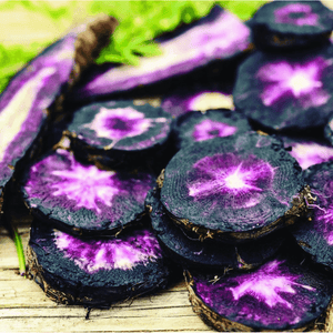 Carrot 'Black Nebula' Seeds