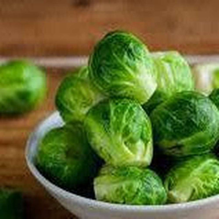 Brussels Sprouts 'Evesham Special' Seeds
