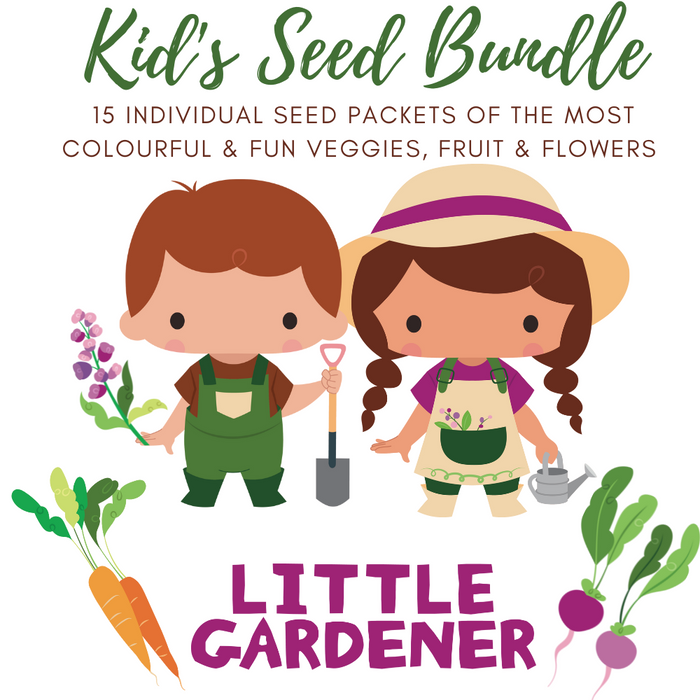 Children's Bulk Seed Pack - 15 Individual Packets of Colour & FUN for kids