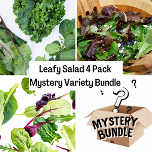 Leafy Salad 4 Pack Mystery Variety Bundle