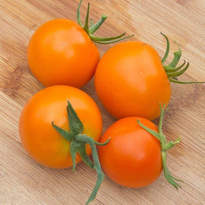 Tomato 'Juanne Flame' Seeds
