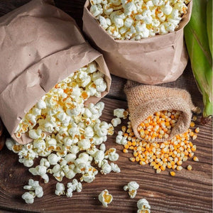 Corn 'Saturn Popcorn' Seeds