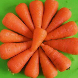 Carrot 'Royal Chantenay' Seeds