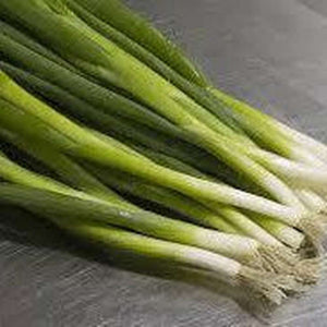 Spring Onion ‘All Year’ Seeds