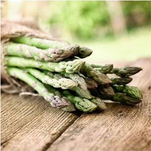 Asparagus 'Mary Washington' Seeds