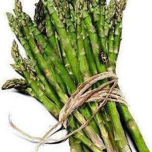 Asparagus 'Mary Washington' Seeds
