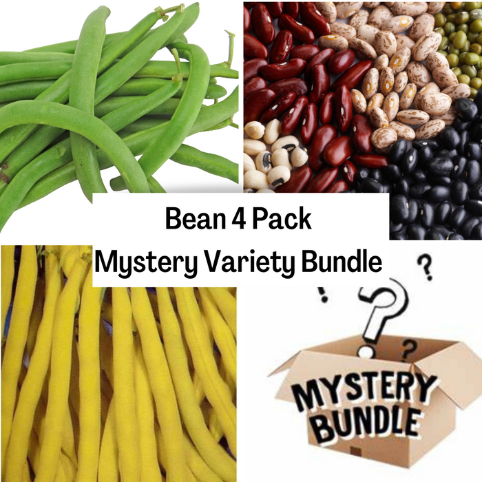 Bean 4 Pack Mystery Variety Bundle
