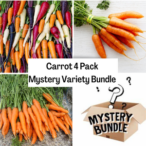 Carrot 4 Pack Mystery Variety Bundle