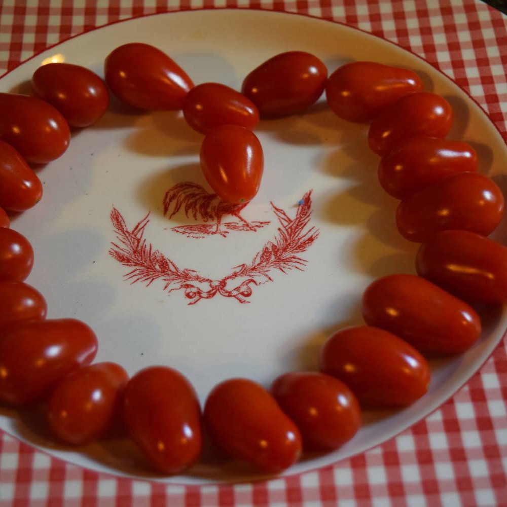 Tomato 'Cherry Roma' Seeds – D&H Seed Harvest Co