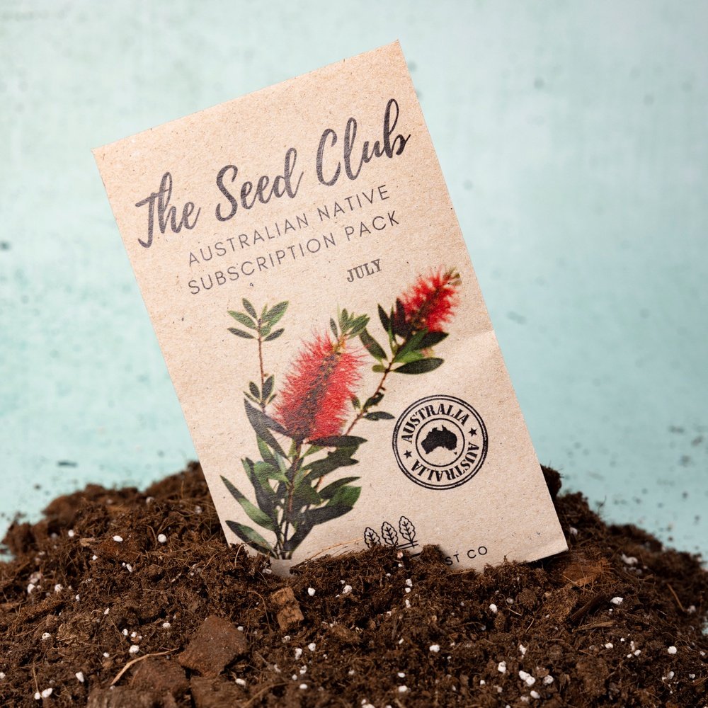 australian wild flower seeds The Seed Club *Australian Native Garden* Monthly Seed Subscription – D&H Seed Harvest Co