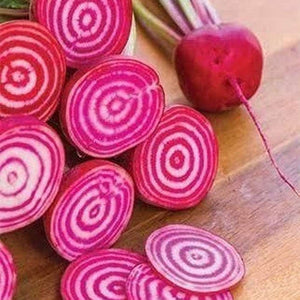 Beetroot ‘Chioggia’ Seeds