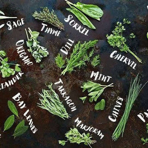 The Seed Club *Herbs & Spices* Monthly Seed Subscription