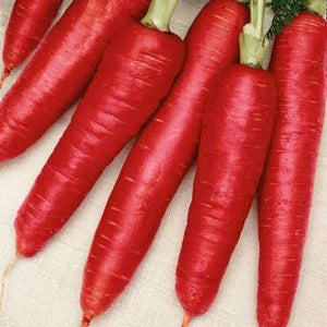 Carrot ‘Scarlet Red' Seeds