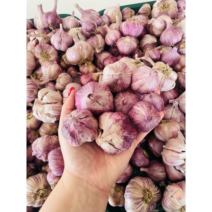 Tassie Purple Garlic 150g