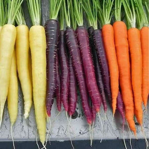 Carrot ‘Cosmic Purple' Seeds